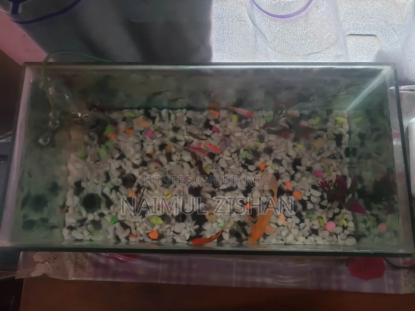 Aquarium | Used Aquarium