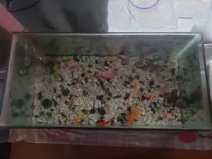 Aquarium | Used Aquarium