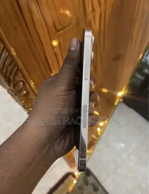 Apple iPhone 14 Pro Max 256 GB Silver