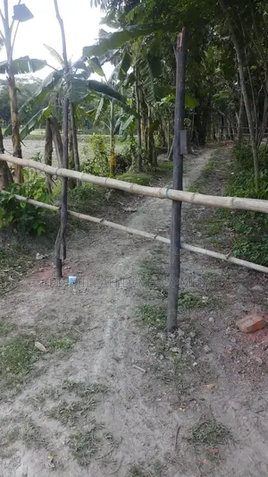 Plot Sale at Bashundhara R/A
