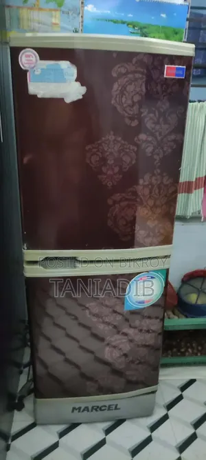 Freezer Refrigerator