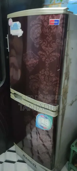Freezer Refrigerator