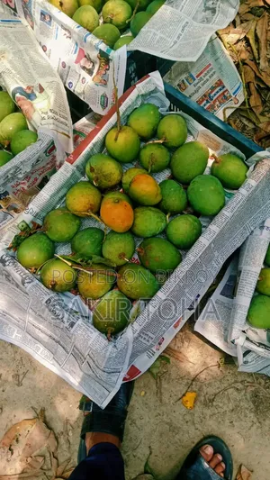 হিমসাগর আম