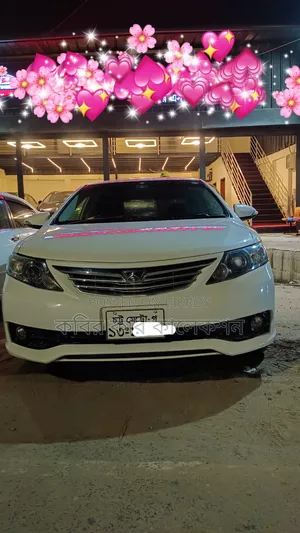 Toyota Allion 2013 Pearl