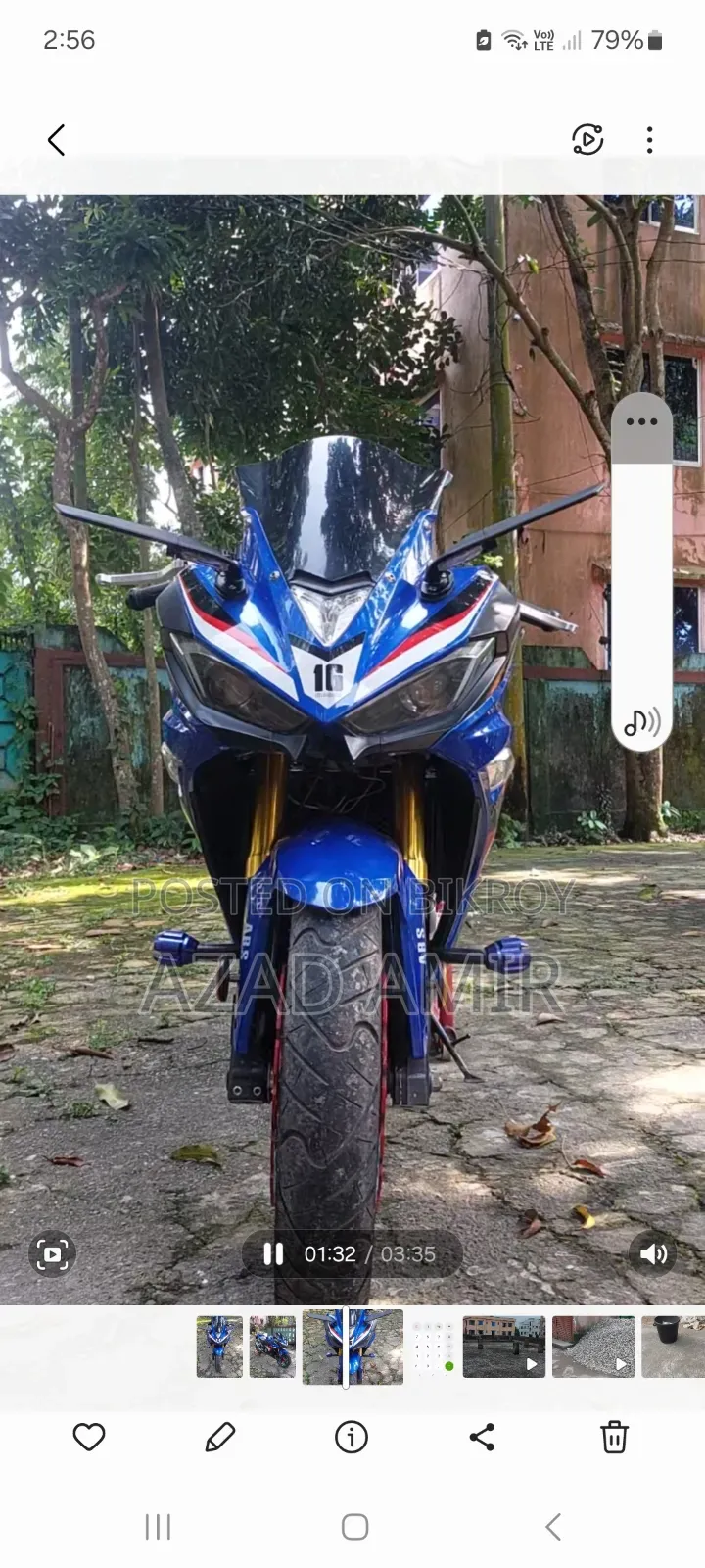 Regal Raptor Long 2021 Blue