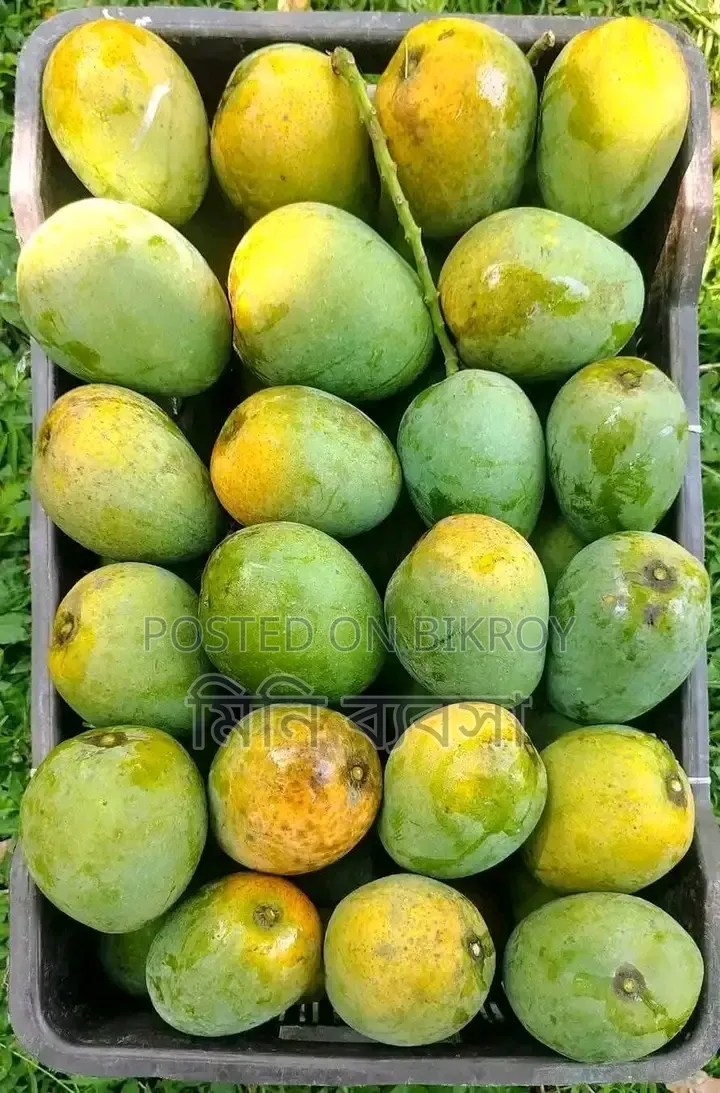 হিমসাগর আম