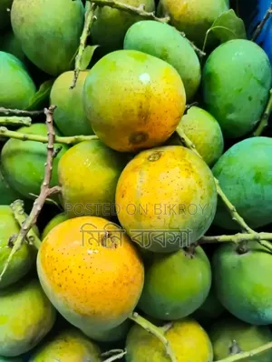 হিমসাগর আম