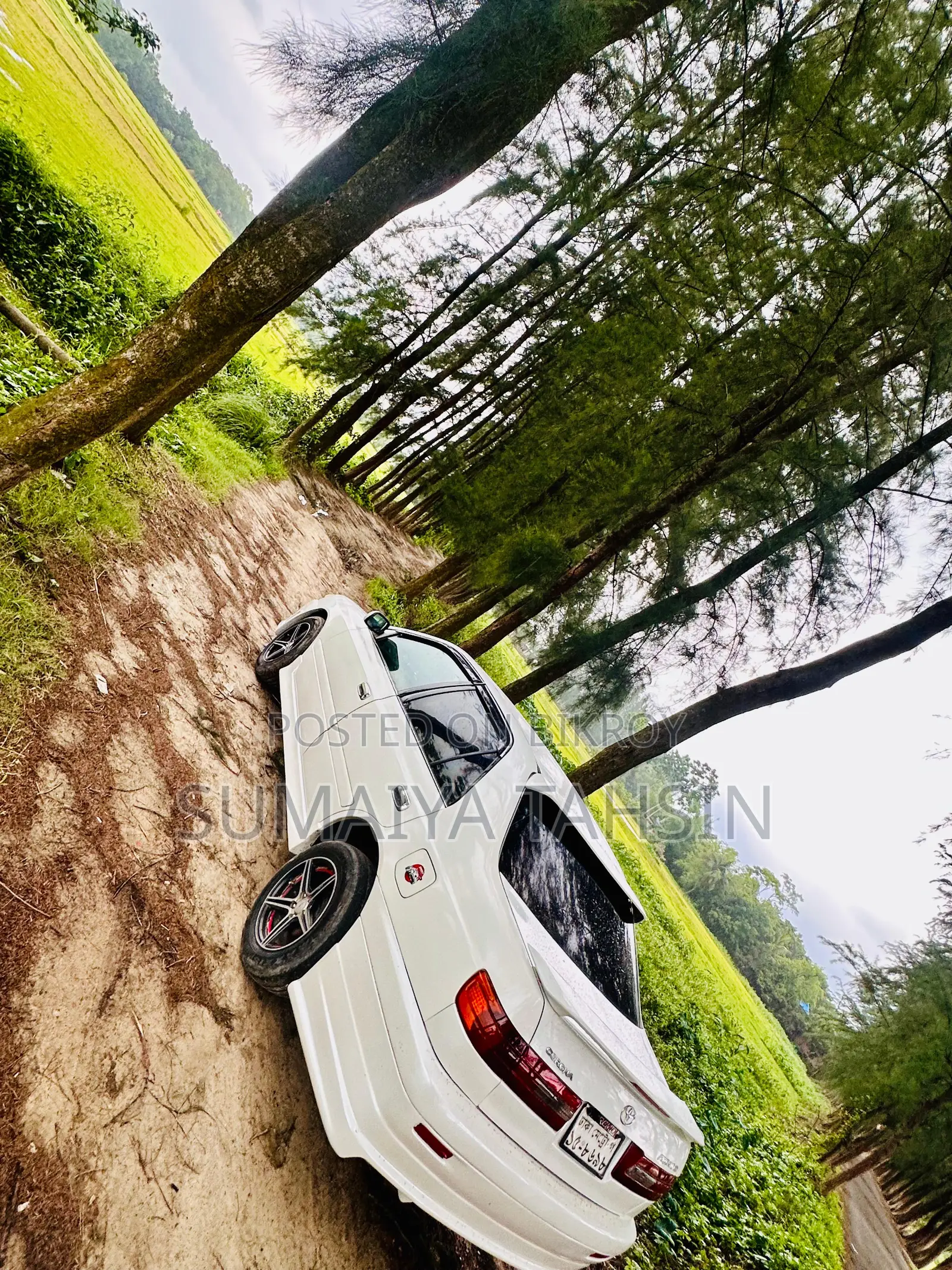 Toyota Corona Premio 1999 White