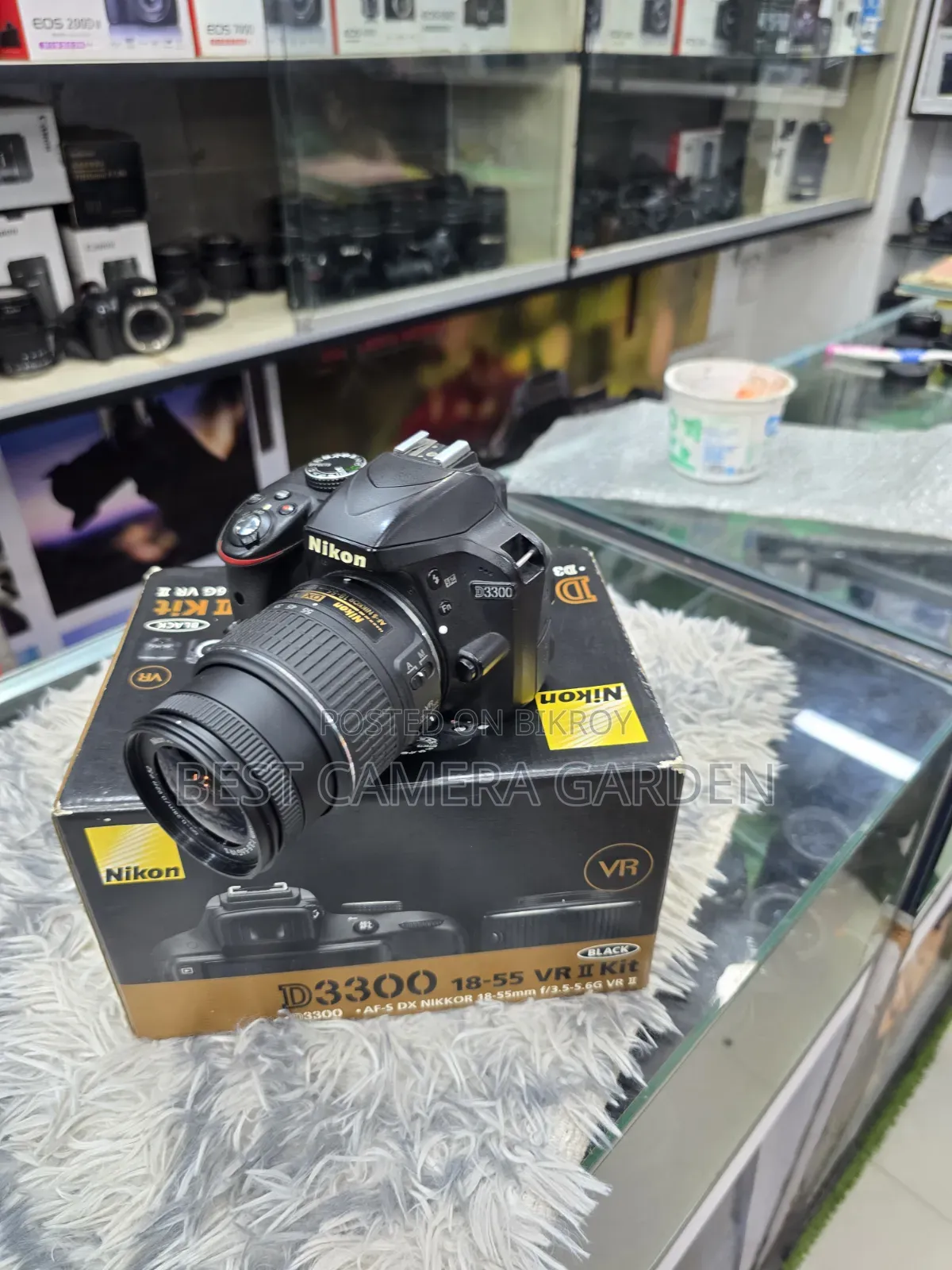 Nikon D3300 With Lens