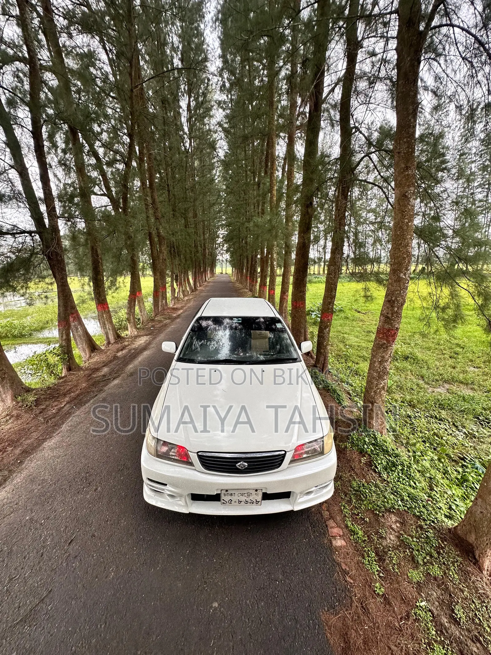 Toyota Corona Premio 1999 White