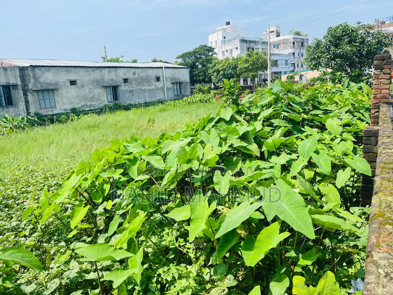 Land for Sale - Sonadanga (Hafiz Nagar) 2.5 + 2.5 = 5 Katha