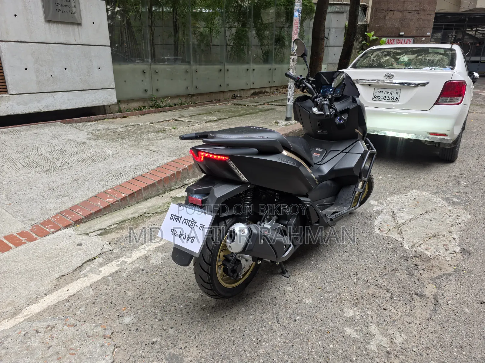 Taro Vampire 2025 Black