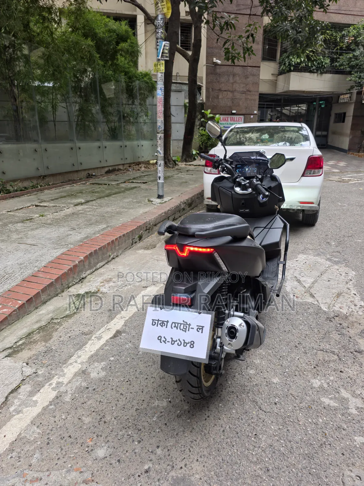 Taro Vampire 2025 Black