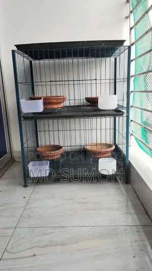 দুই লেয়ারের কবুতরের খাচা বিক্রি করা হবে।
