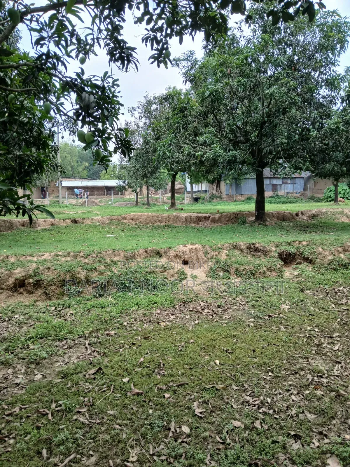 10bdrm House in June 25, Mohammadpur for Sale