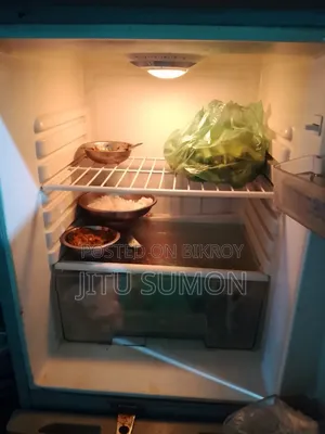 Old Model Fridge