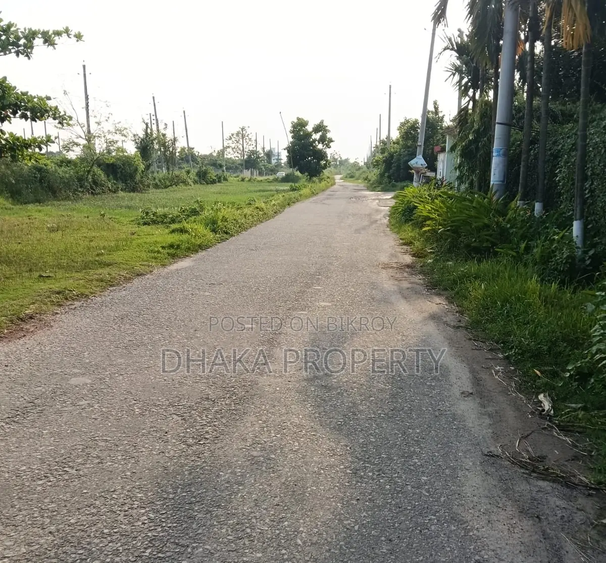 সেক্টর-১৫ তে ৩০০ ফুটের কাছে ৩ কাঠার দক্ষিণমুখী প্লট