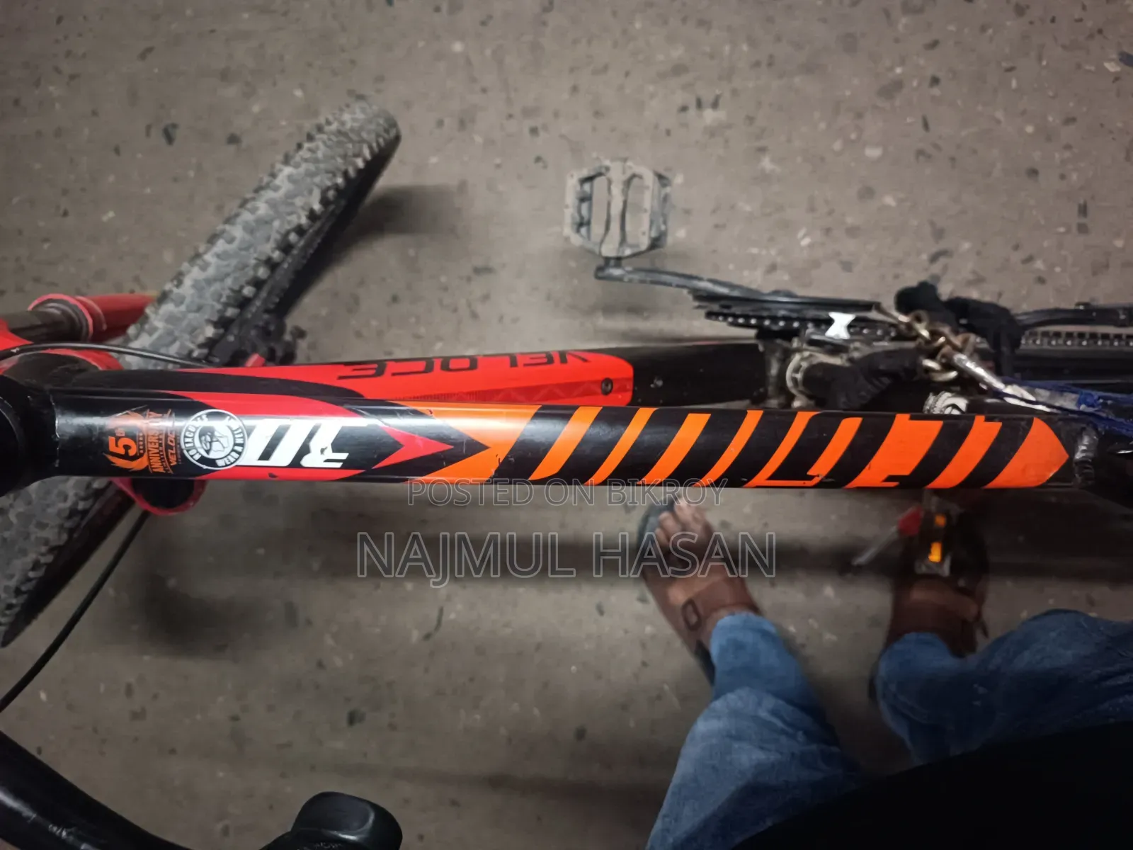 Veloce Leion 30