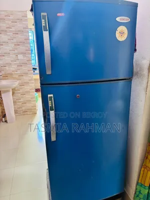 Refrigerator (Fridge)