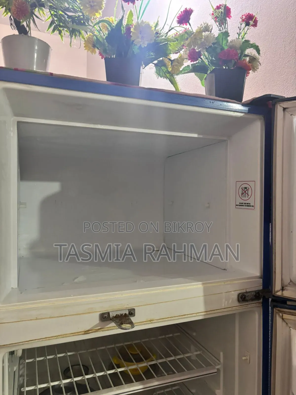 Refrigerator (Fridge)