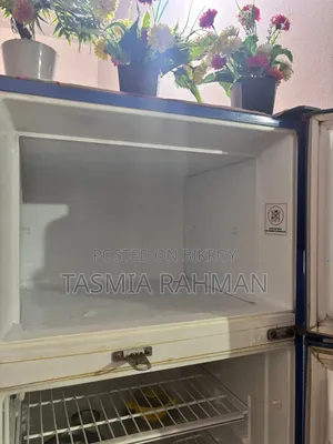 Refrigerator (Fridge)