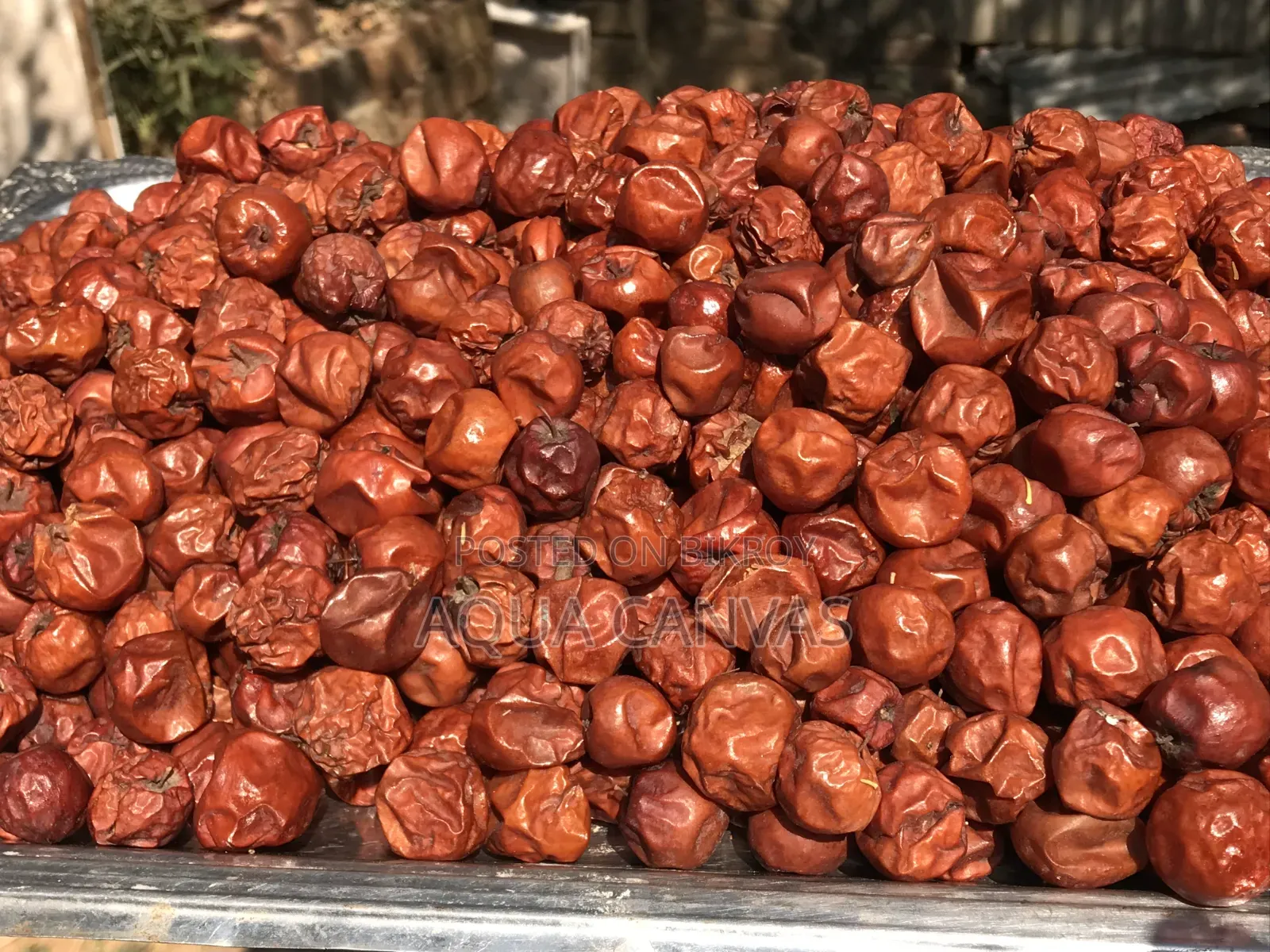Dried Jujube (Boroi)