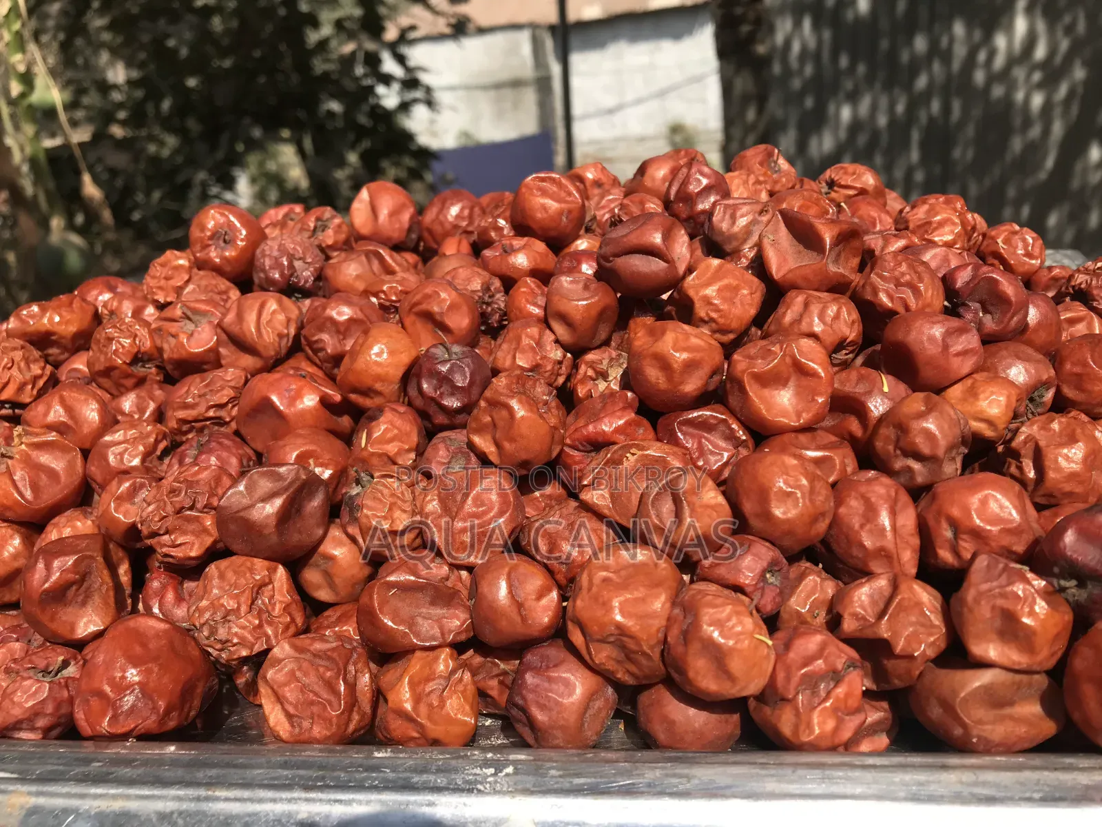 Dried Jujube (Boroi)