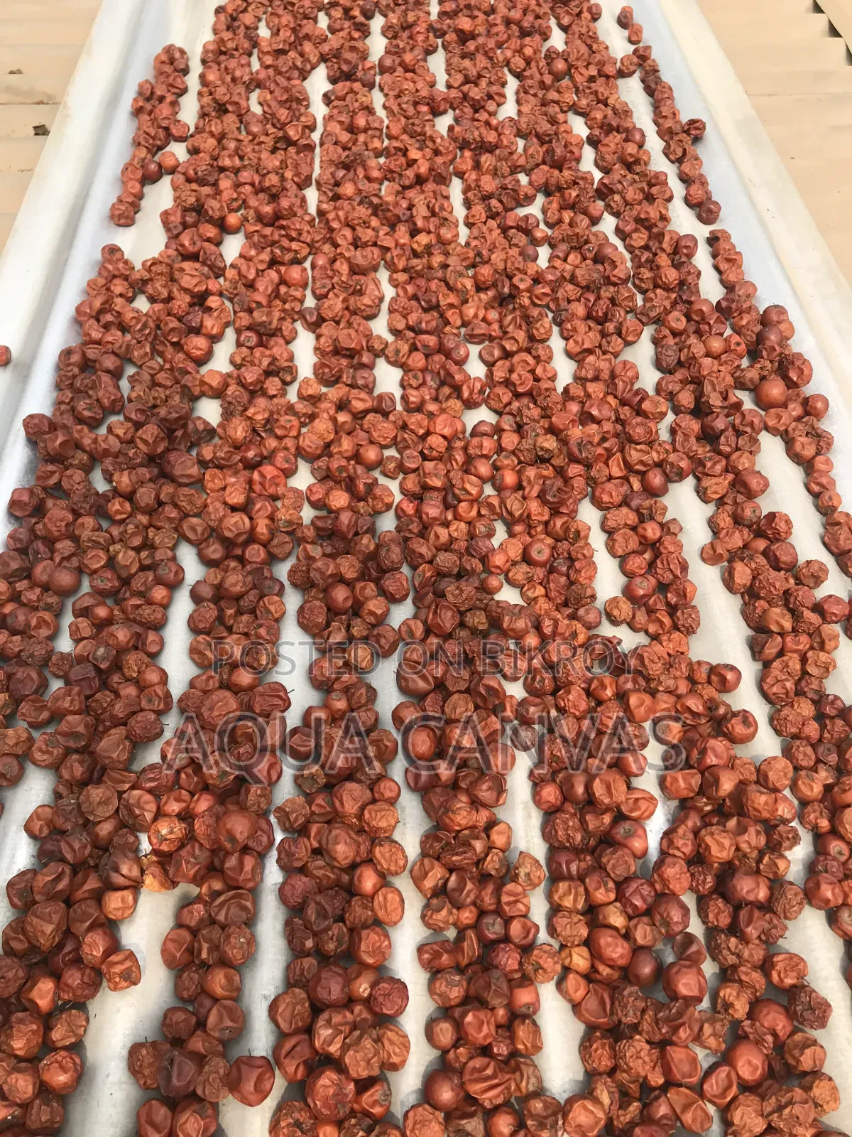 Dried Jujube (Boroi)