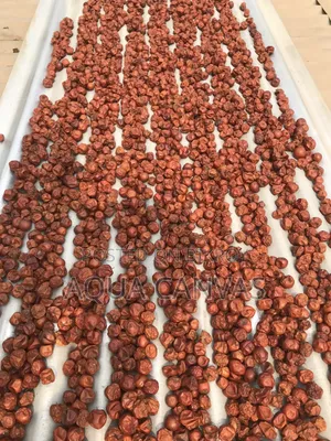 Dried Jujube (Boroi)