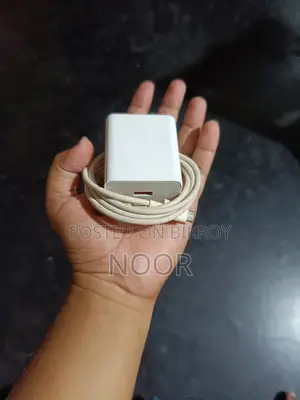 33watt Charger Original