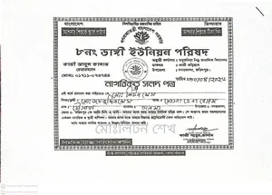 Professional Heavy License Driver Seeking Employment