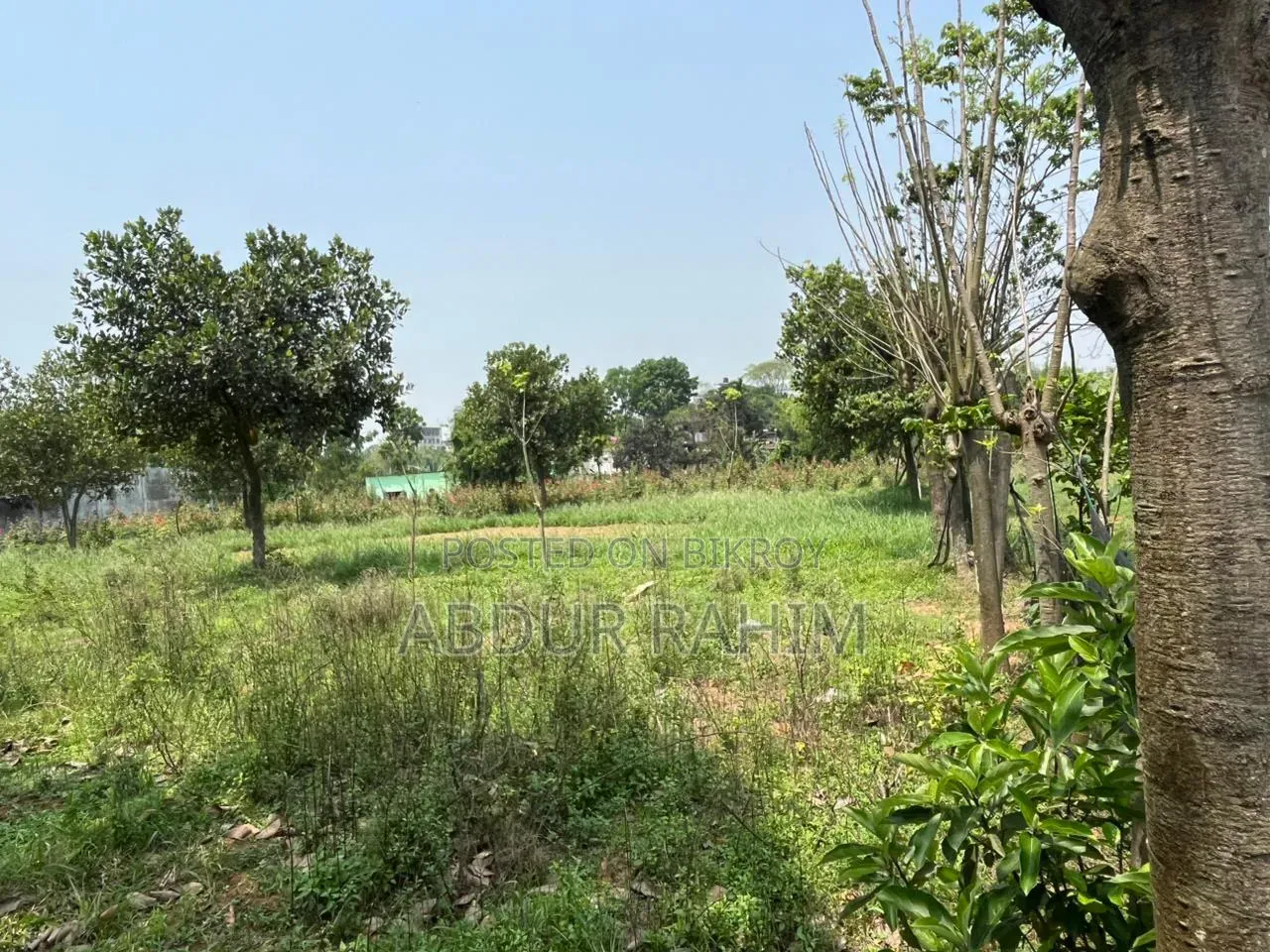 52.5 Katha Land for Sale in Birulia, Savar | Prime Investment Opportunity