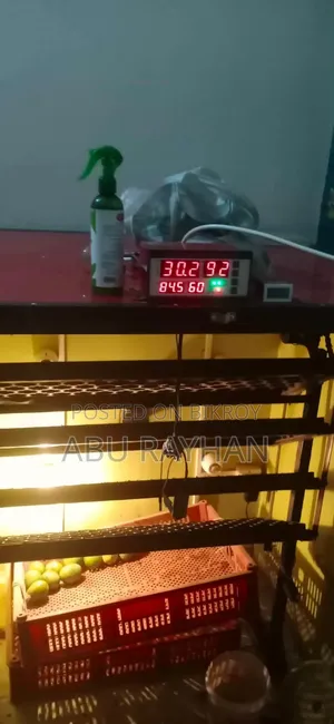 Automatic Egg Incubator