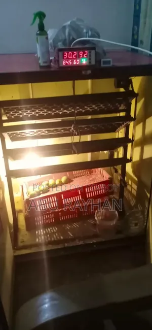 Automatic Egg Incubator