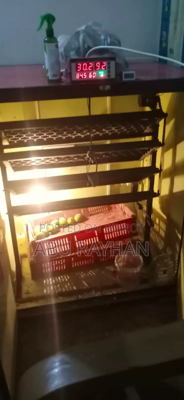 Automatic Egg Incubator