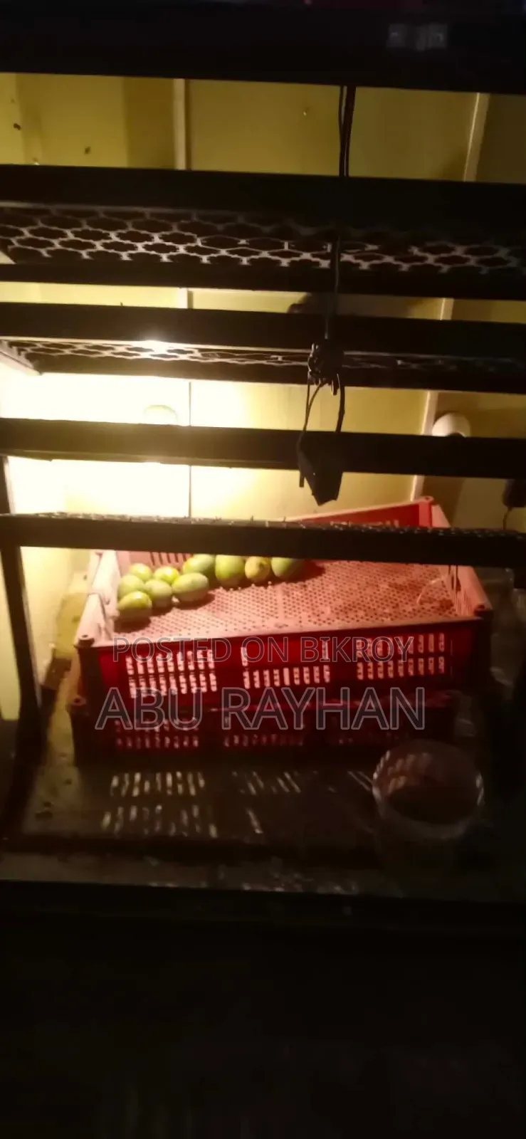 Automatic Egg Incubator