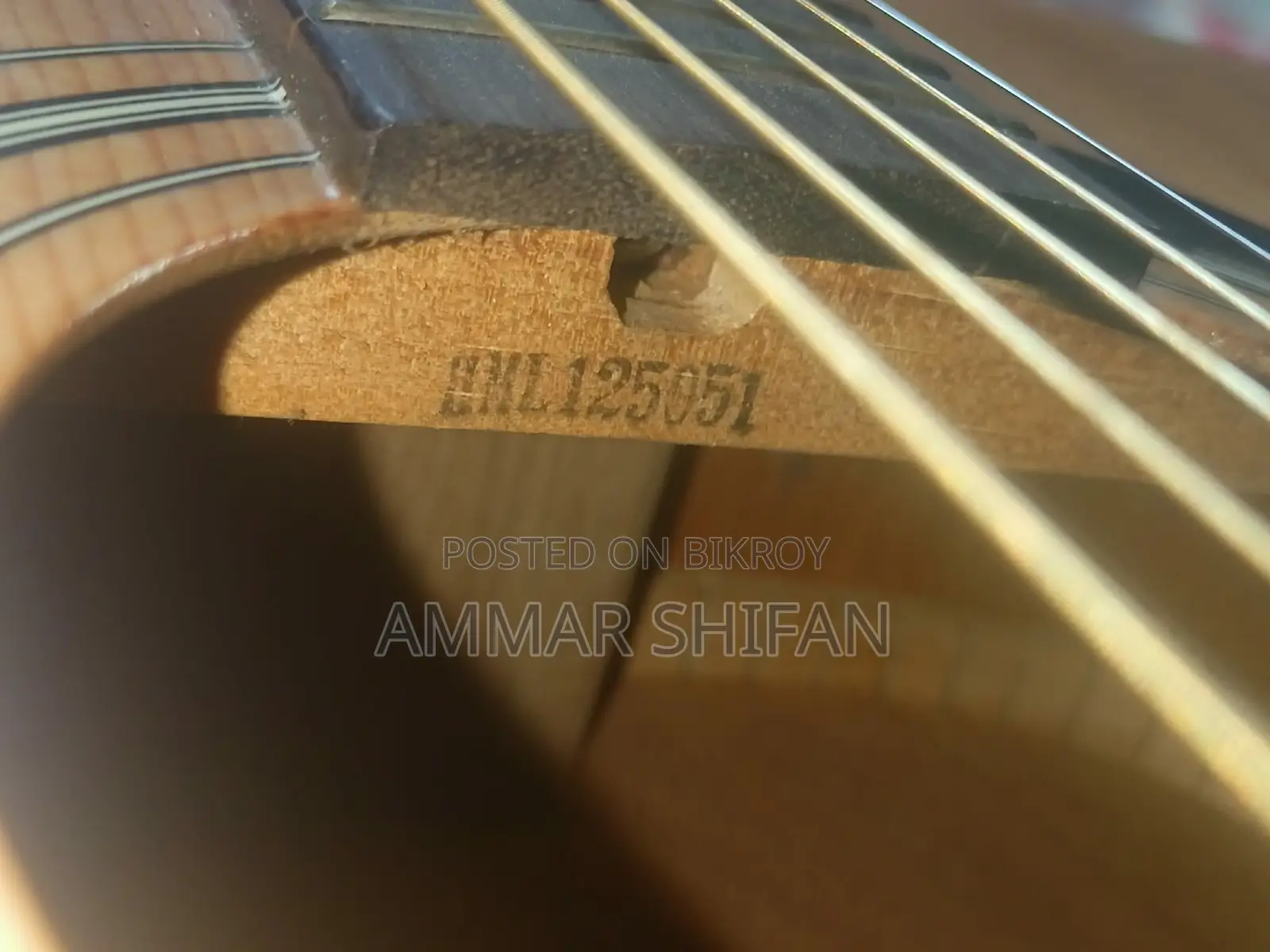 Yamaha F310