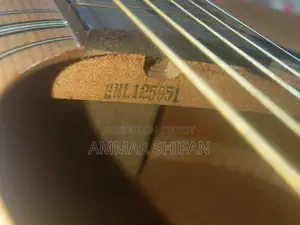 Yamaha F310