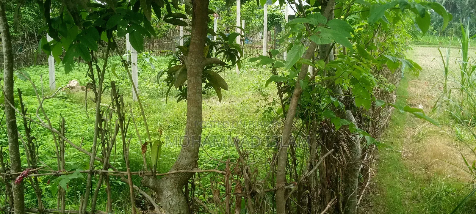 Land for Sale
