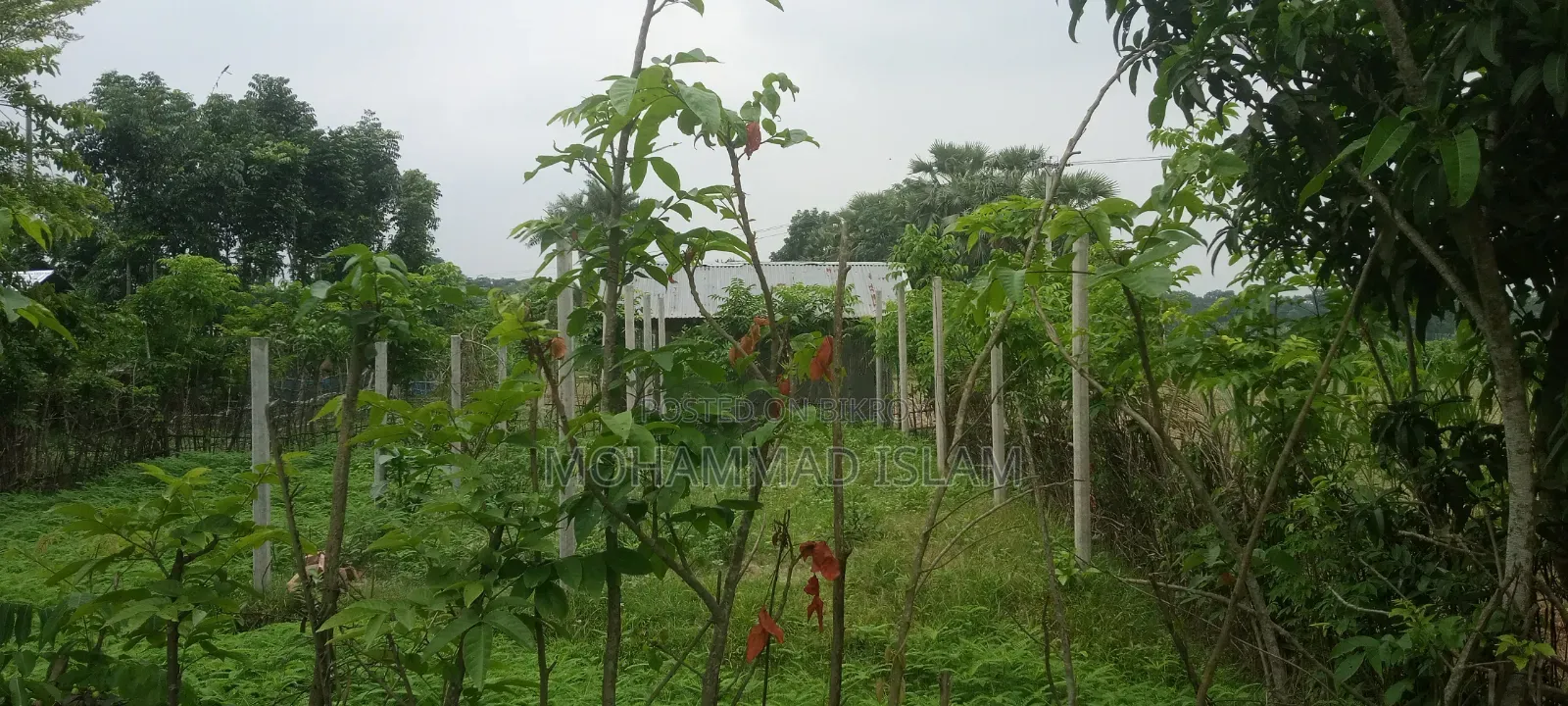 Land for Sale