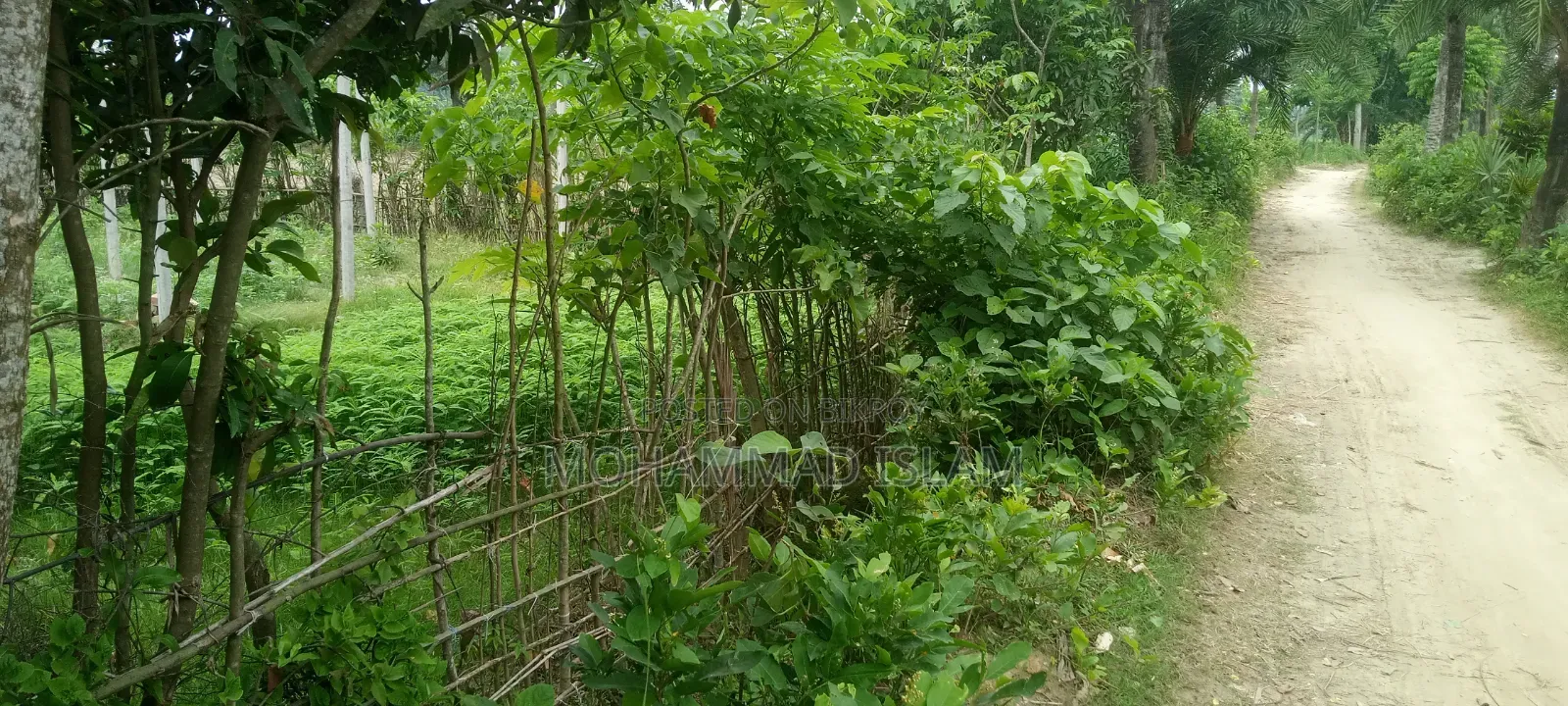 Land for Sale