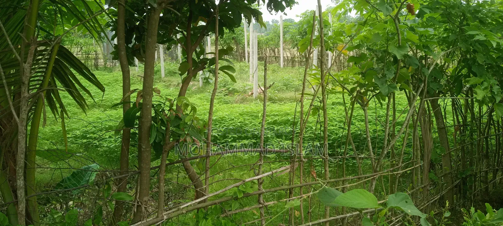 Land for Sale
