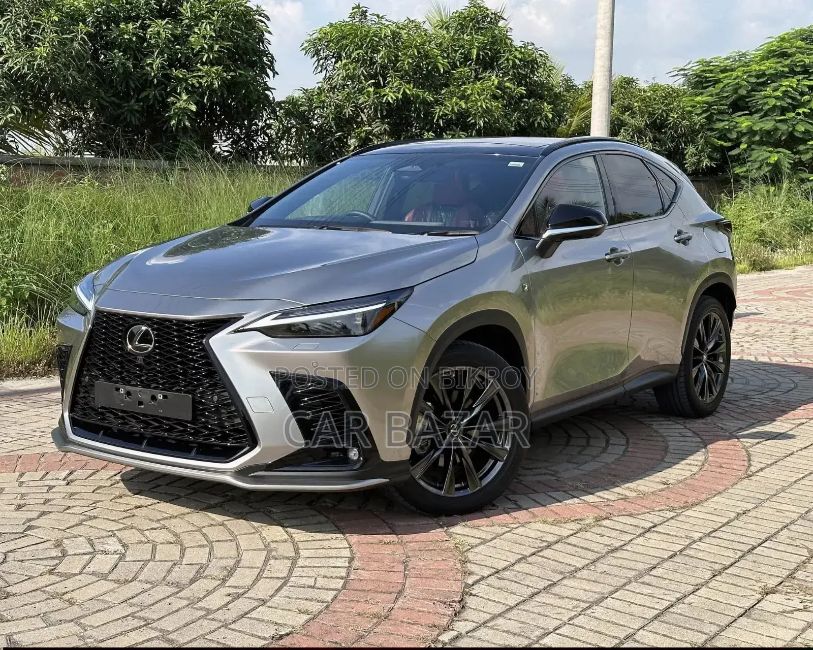 নতুন Lexus NX 2023 গ্রে