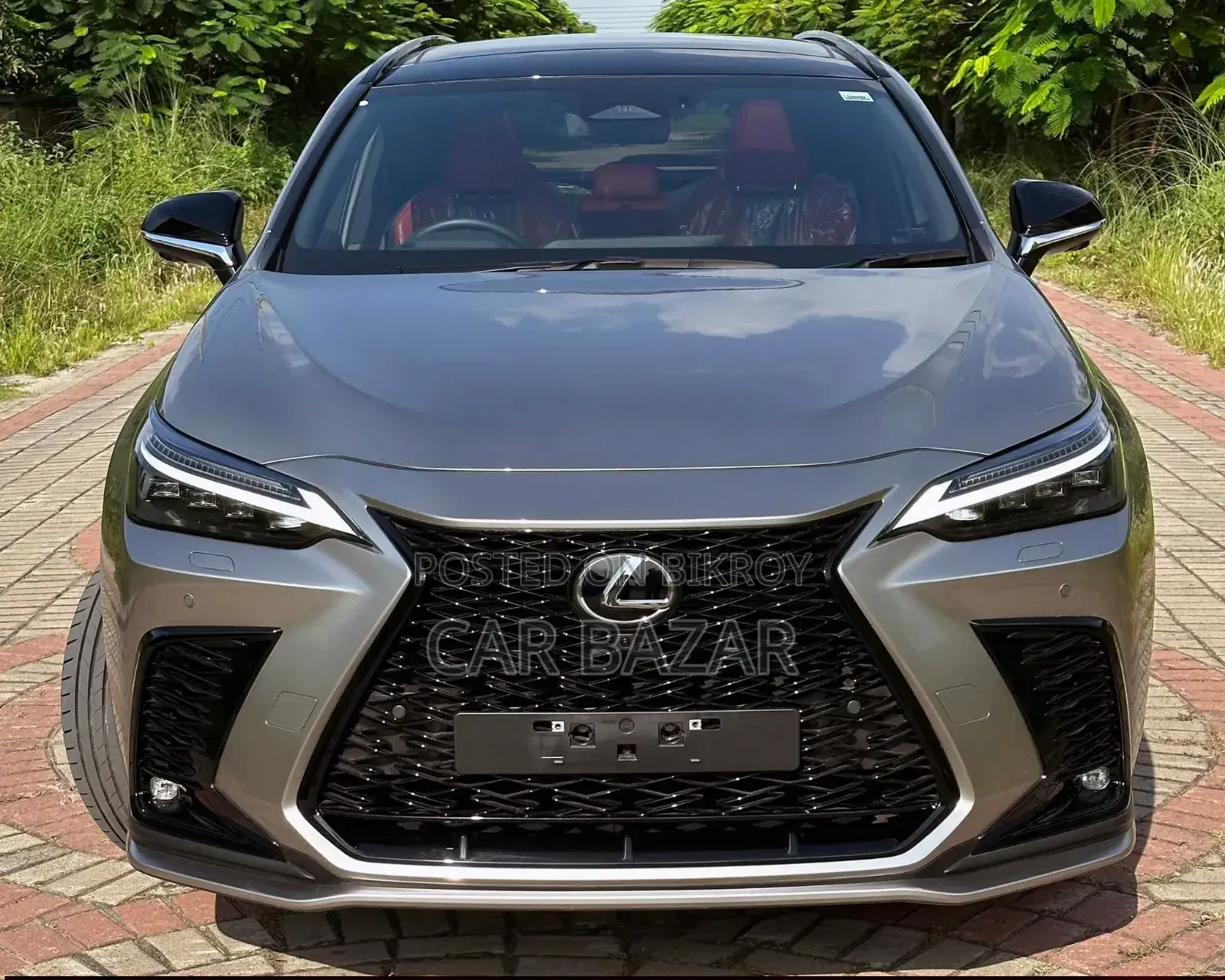 নতুন Lexus NX 2023 গ্রে