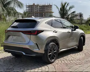 নতুন Lexus NX 2023 গ্রে