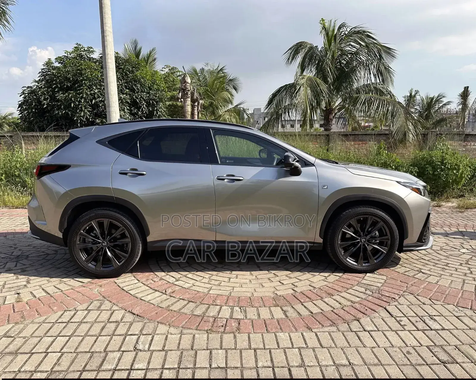নতুন Lexus NX 2023 গ্রে