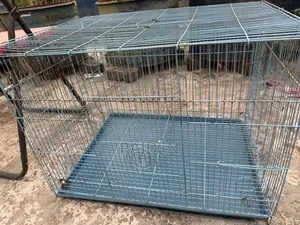পাখির খাচা