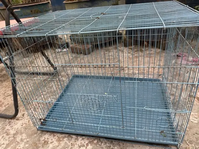 পাখির খাচা