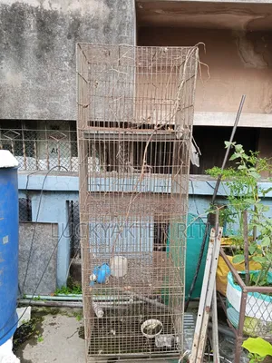 Cage for Birds