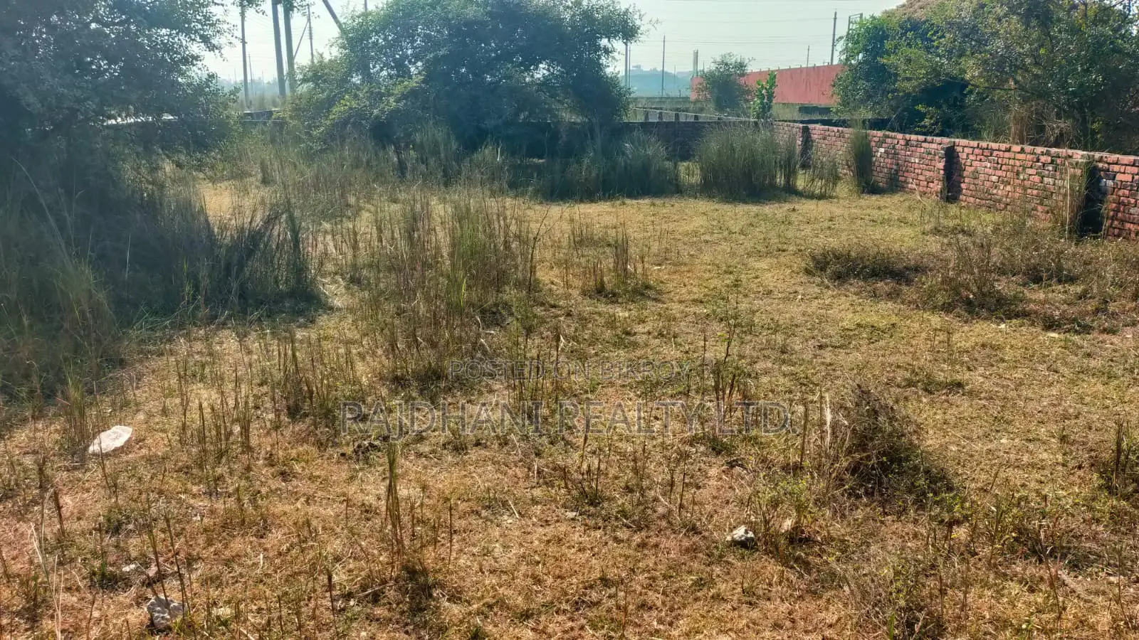 5 কাঠার প্লট বিক্রয় N - Ex ব্লক বসুন্ধরা আবাসিক